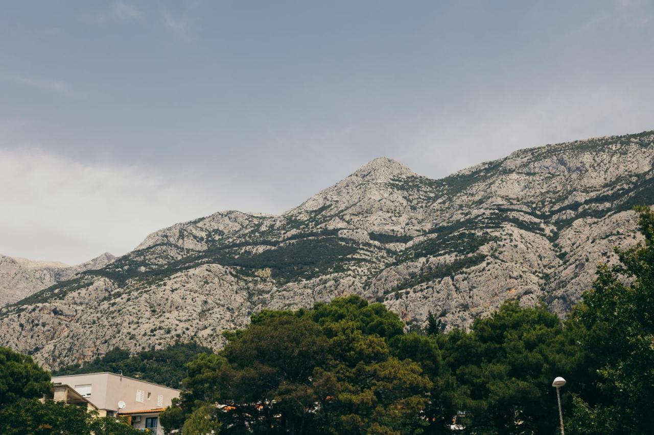 Villa Sandra, Makarska Dış mekan fotoğraf